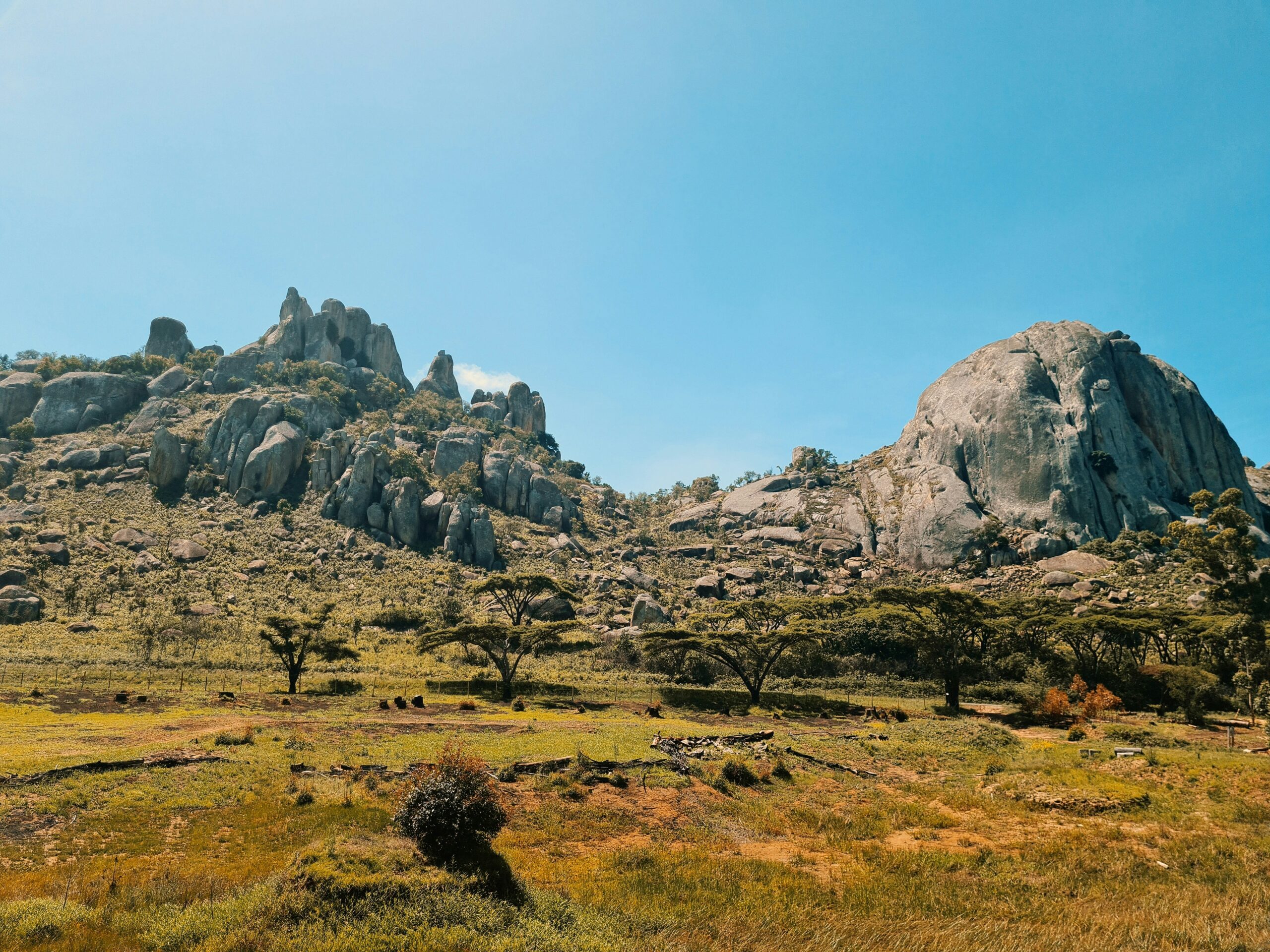 rutendo-petros-LozNVrK-dJU-unsplash